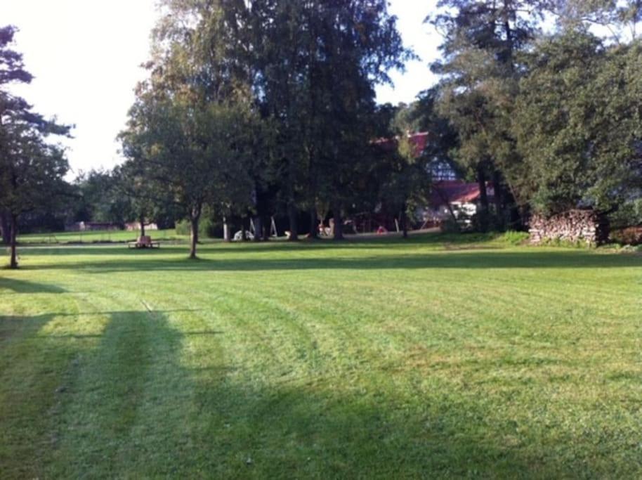 Ferienwohnung Tiererlebnishof Obermuehle Biebergemund Esterno foto