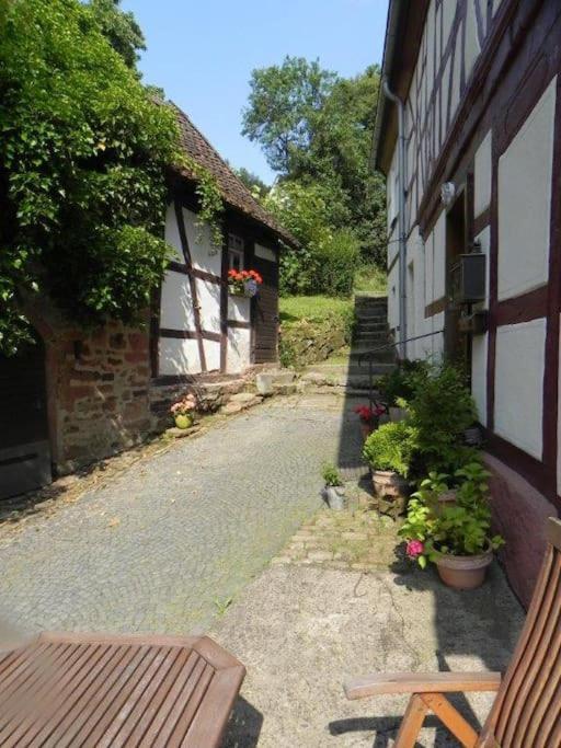 Ferienwohnung Tiererlebnishof Obermuehle Biebergemund Esterno foto